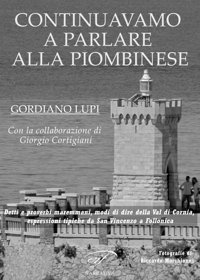 Immagine copertina libro Continuavamo a parlare alla piombinese