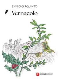 Immagine copertina libro Vernacolo
