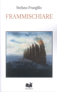 Immagine copertina libro Frammischiare