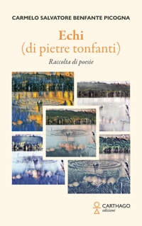 Immagine copertina libro Echi (di pietre tonfanti)