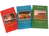 Immagine copertina libro Pregando la parola. Anno A, B, C. Ediz. illustrata