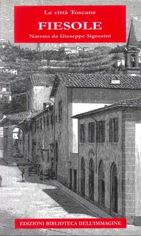 Immagine copertina libro Fiesole. Le città toscane