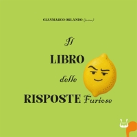 Immagine copertina libro Il libro delle risposte furiose