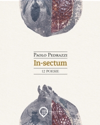 Immagine copertina libro In-sectum