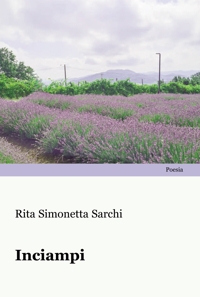Immagine copertina libro Inciampi