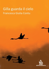 Immagine copertina libro Gilla guarda il cielo