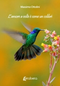 Immagine copertina libro L'amore a volte è come un colibrì