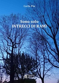 Immagine copertina libro Sono solo intrecci di rami