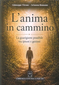 Immagine copertina libro L'anima in cammino