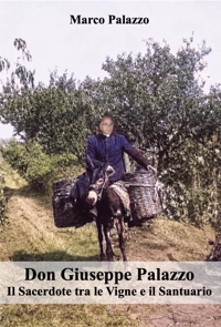Immagine copertina libro Don Giuseppe Palazzo. Il sacerdote tra le vigne e il santuario