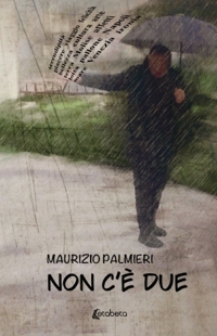 Immagine copertina libro Non c'è due