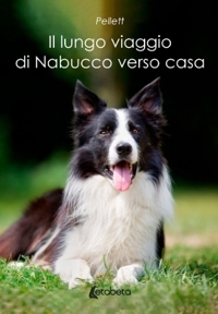 Immagine copertina libro Il lungo viaggio di Nabucco verso casa
