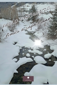 Immagine copertina libro Amici a capodanno