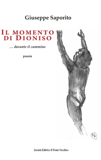 Immagine copertina libro Il momento di Dioniso... durante il cammino