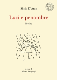 Immagine copertina libro Luci e penombre