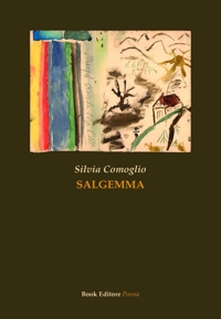 Immagine copertina libro Salgemma