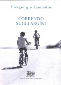 Immagine copertina libro Correndo sugli argini