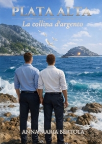 Immagine copertina libro Plata alta. La collina d'argento