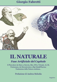 Immagine copertina libro Il naturale. Fase artificiale del capitale