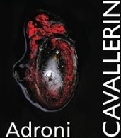 Immagine copertina libro CAdroni