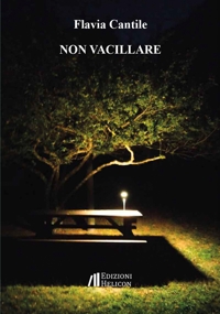 Immagine copertina libro Non vacillare