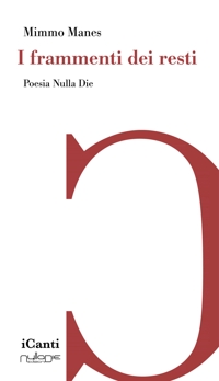 Immagine copertina libro I frammenti dei resti