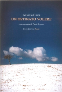 Immagine copertina libro Un ostinato volere