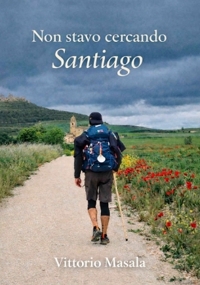 Immagine copertina libro Non stavo cercando Santiago
