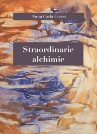 Immagine copertina libro Straordinarie alchimie