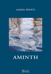 Immagine copertina libro Aminth