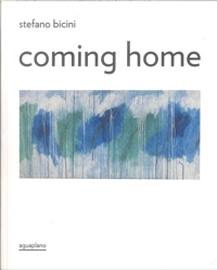 Immagine copertina libro Stefano Bicini. Coming home