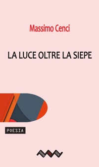 Immagine copertina libro La luce oltre la siepe