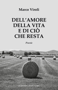 Immagine copertina libro Dell'amore, della vita e di ciò che resta
