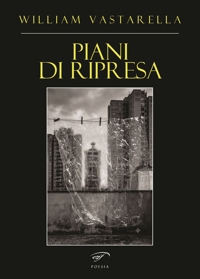 Immagine copertina libro Piani di ripresa