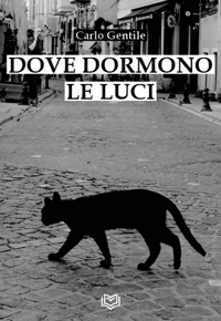 Immagine copertina libro Dove dormono le luci. Nuova ediz.
