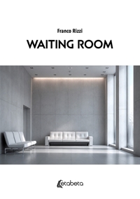 Immagine copertina libro Waiting room