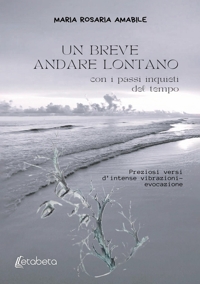 Immagine copertina libro Un breve andare lontano. Con i passi inquieti del tempo