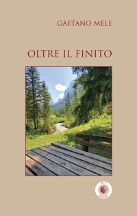 Immagine copertina libro Oltre il finito