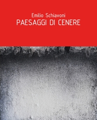 Immagine copertina libro Paesaggi di cenere