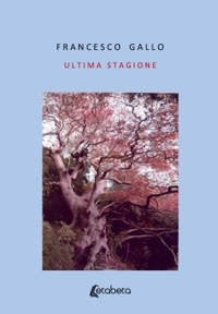 Immagine copertina libro Ultima stagione